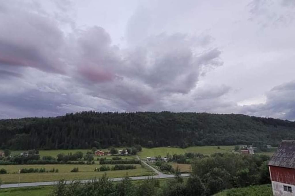 Apartamento Skogan Leirfjord Exterior foto