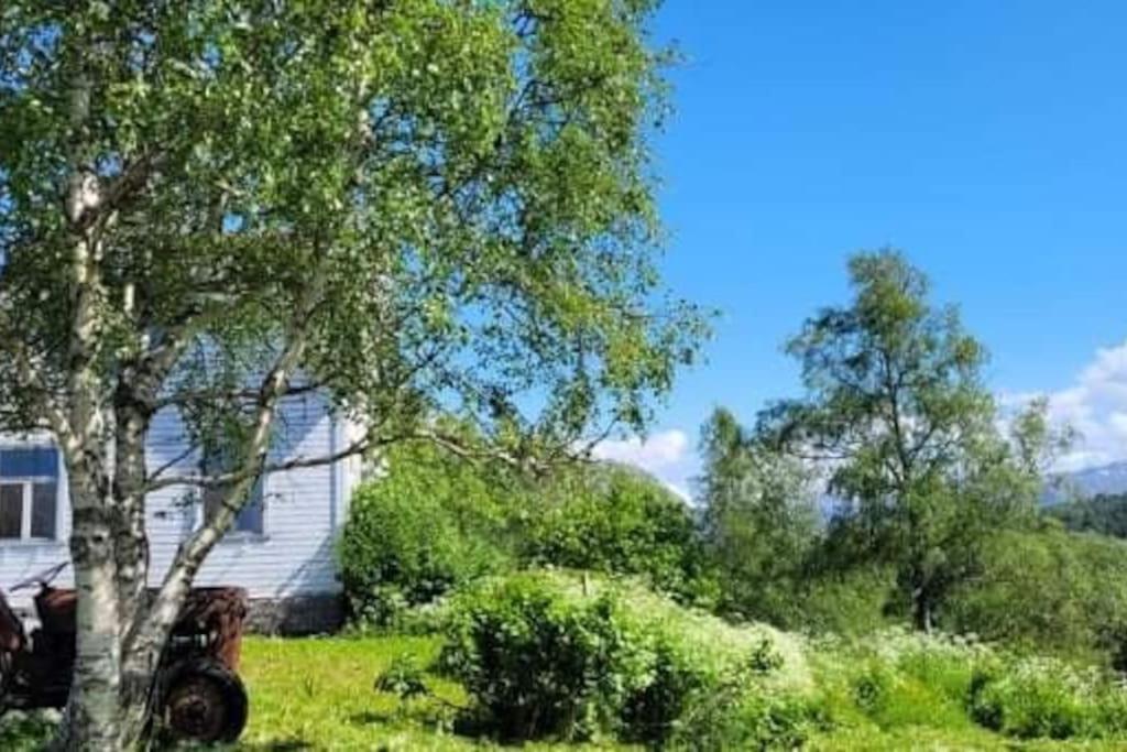 Apartamento Skogan Leirfjord Exterior foto
